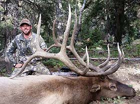 Timberline Outfitters