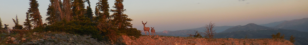 Hunt Nevada