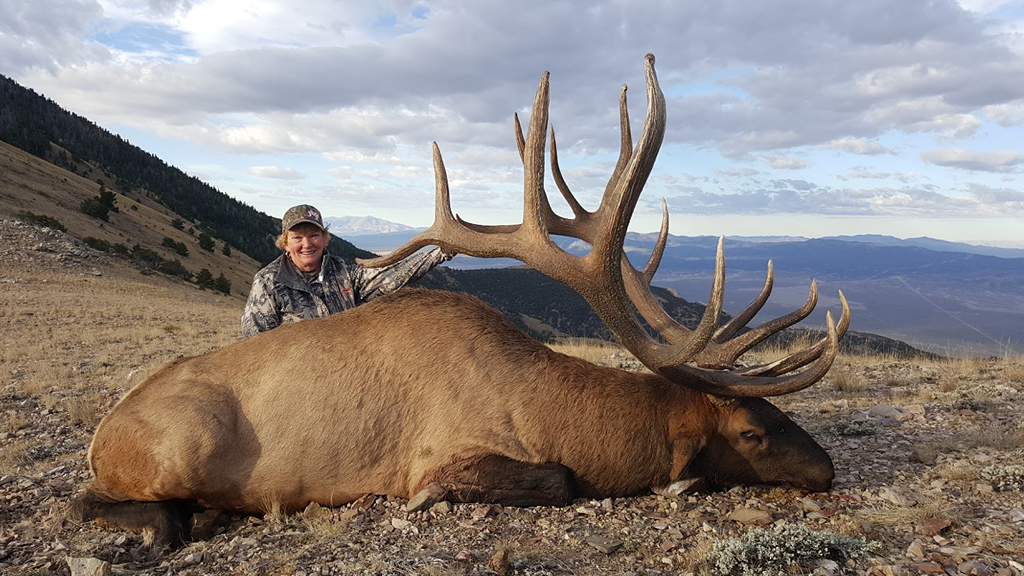 nevada outfitters and guide